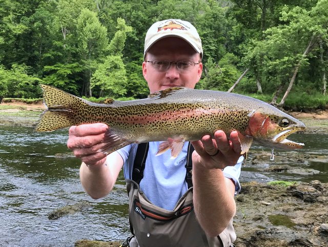 Rainbow trout on the Clinch River