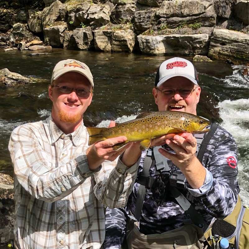 A large wild brown trout caught in the Great Smoky Mountains on a guided fly fishing trip with Trout Zone Anglers