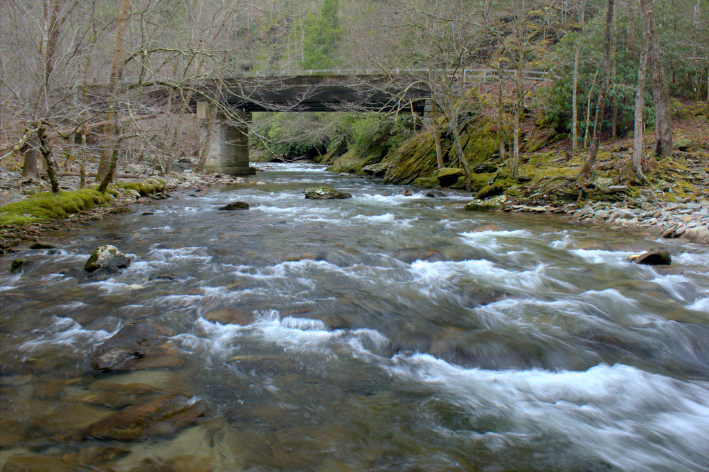 Fly Fishing Little River in the Great Smoky Mountains National Park