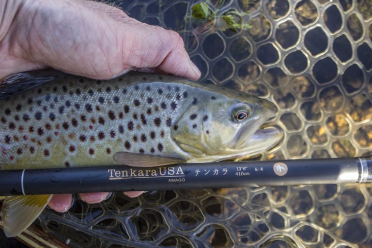 Tennessee Fly Fishing Guide David Knapp of Trout Zone Anglers