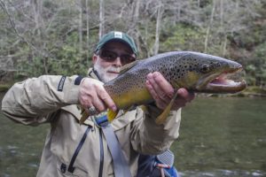 Trophy brown trout from Little River in the Great Smoky Mountains National Park