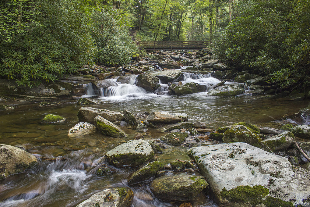 Road Prong is one of many Great Smoky Mountain streams in the Great Smoky Mountains National Park