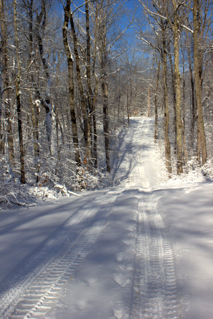 Snow at Trout Zone Anglers headquarters