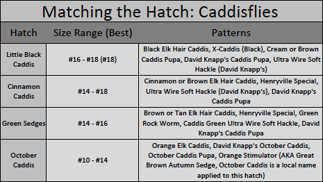How to match caddisfly (caddis) hatches in the Great Smoky Mountains National Park