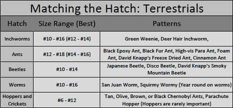 Matching terrestrial insects in the Great Smoky Mountains National Park