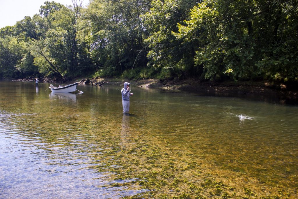A good Caney Fork River fly fishing guide knows where to stop and wade fish