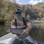 Caney Fork rainbow trout photo gallery picture