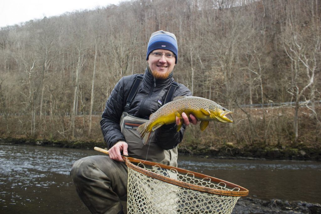 Clinch River brown trout