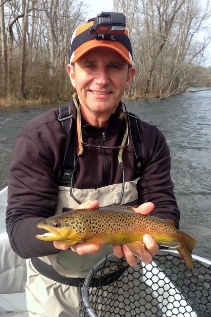 South Holston River brown trout on a Knapp Special Midge