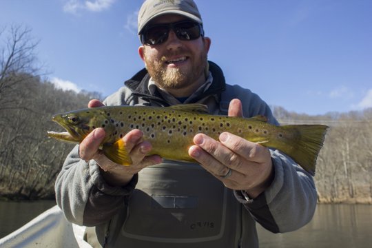 Pat finds a nice Caney Fork River brown trout on a streamer