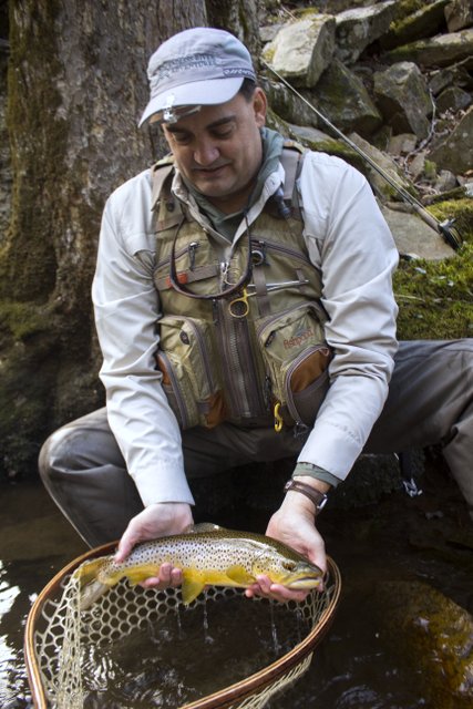 A large brown trout caught while dry fly fishing in the Great Smoky Mountains National Park on Little River