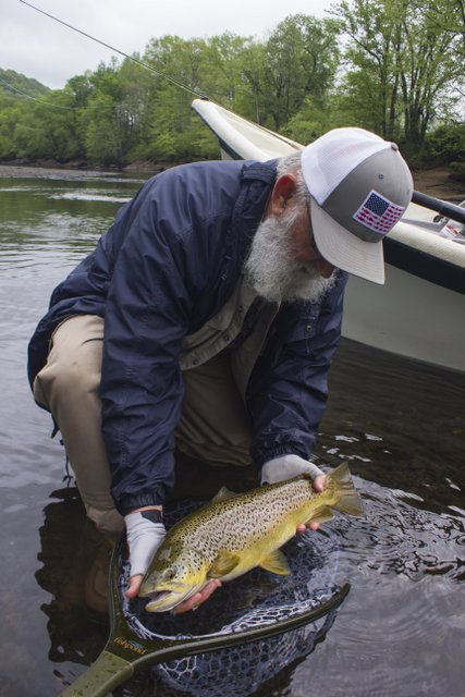 Caney Fork River big brown trout on a guided fly fishing trip