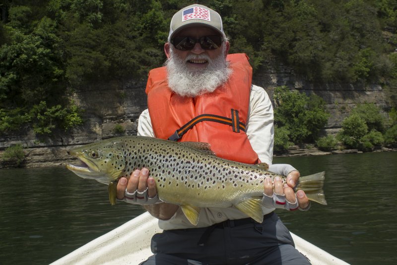 A big brown trout on the Caney Fork River that ate a streamer