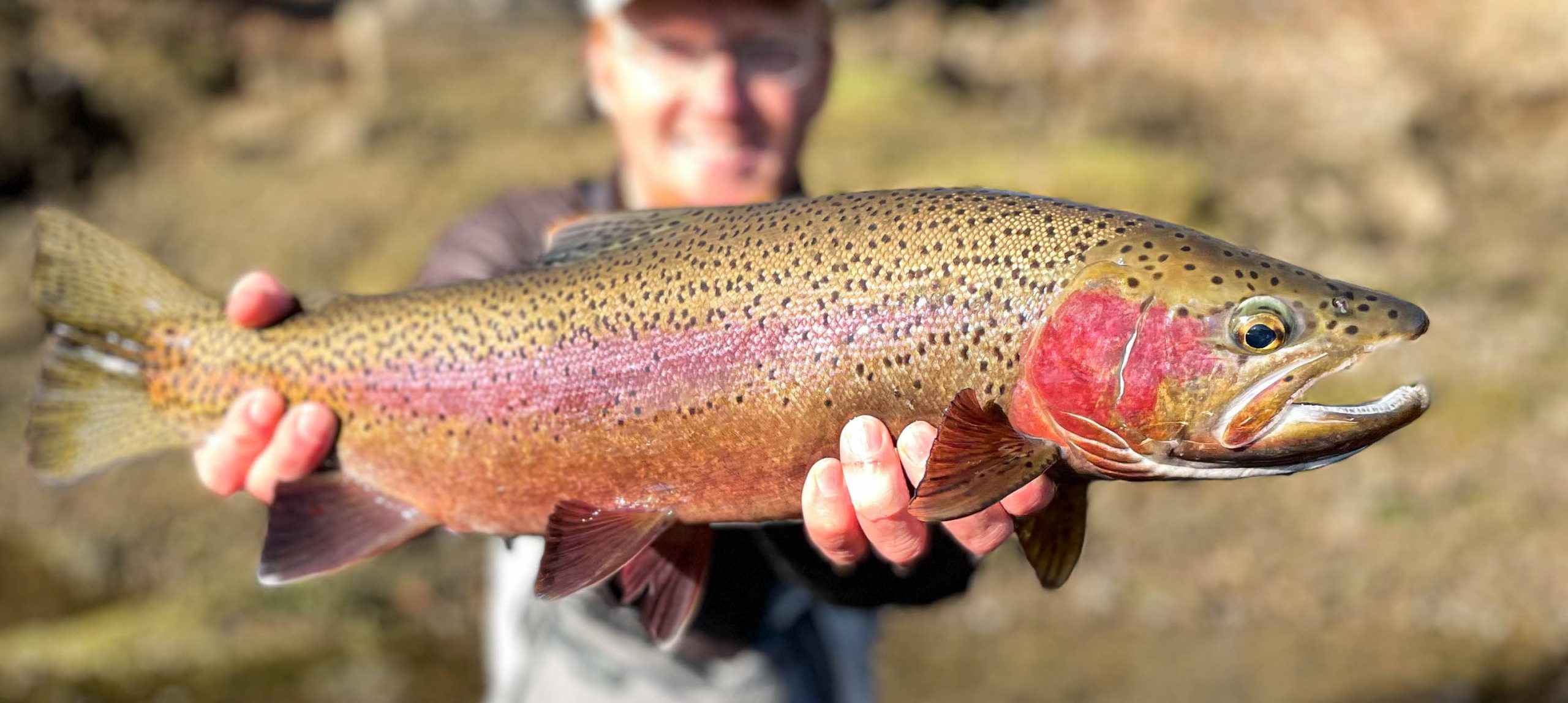 Fishing Report for January 26, 2021
