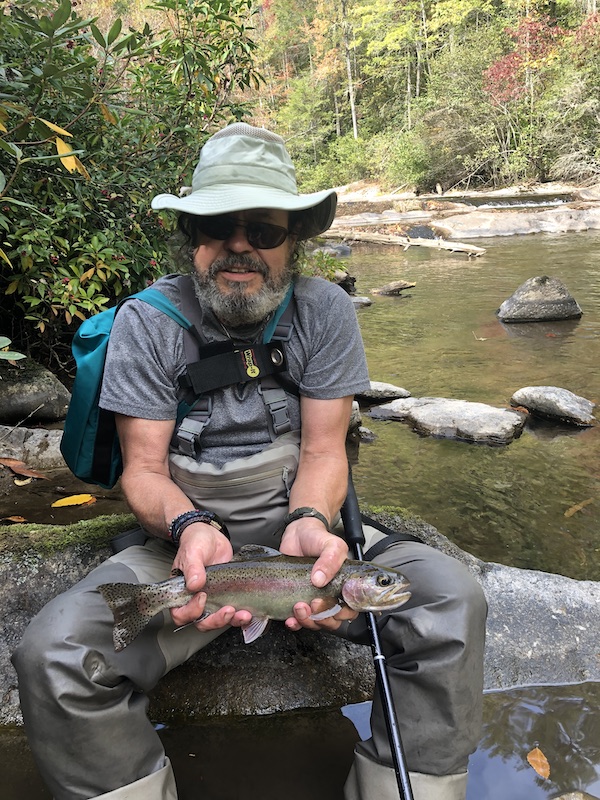 Fishing Abrams Creek Horseshoe rainbow trout on a dry fly