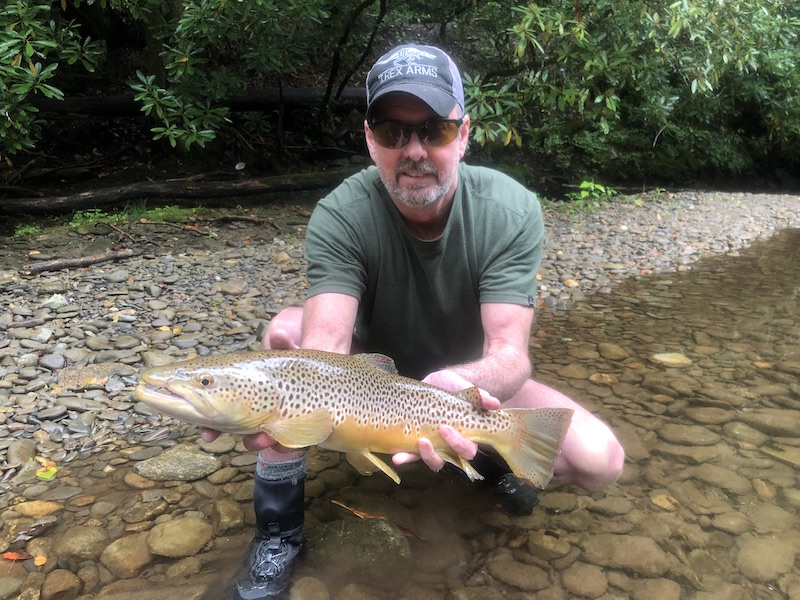 Large brown trout caught fly fishing the Oconaluftee River in the Great Smoky Mountains National Park. 