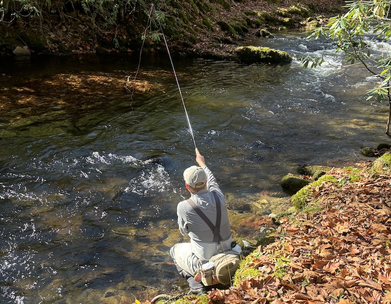 Fishing a dry fly with a dropper on the middle section of the Oconaluftee River in the Great Smoky Mountains National Park.