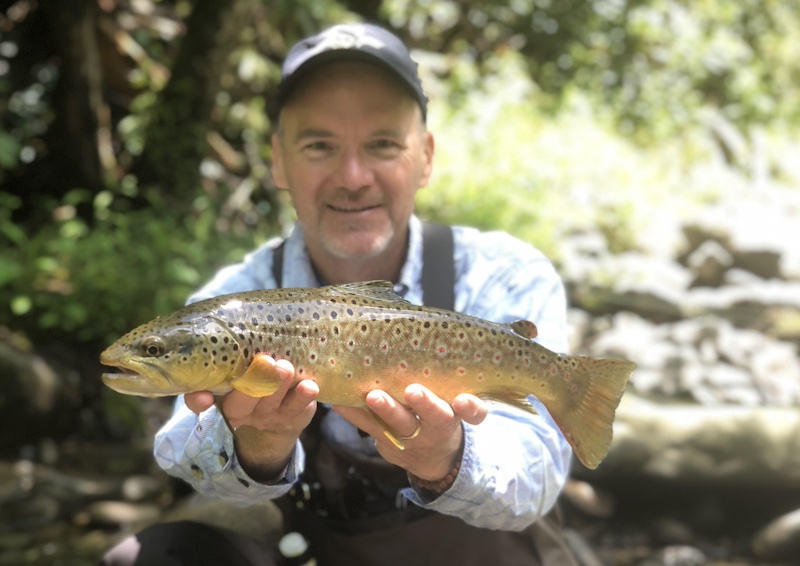 Angler David Humphreys enjoys a trophy wild brown trout with Great Smoky Mountains fly fishing guide David Knapp in spring of 2024.