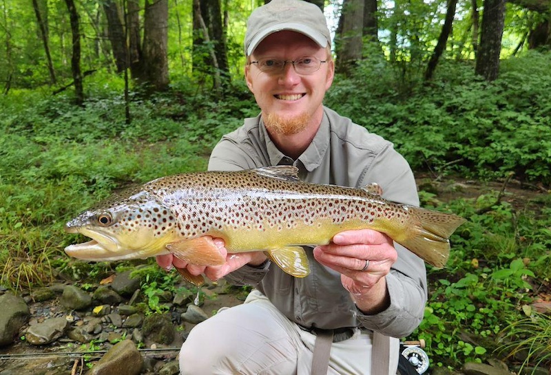 Great Smoky Mountains fly fishing guide David Knapp with a large brown trout from the Smokies in summer of 2024.