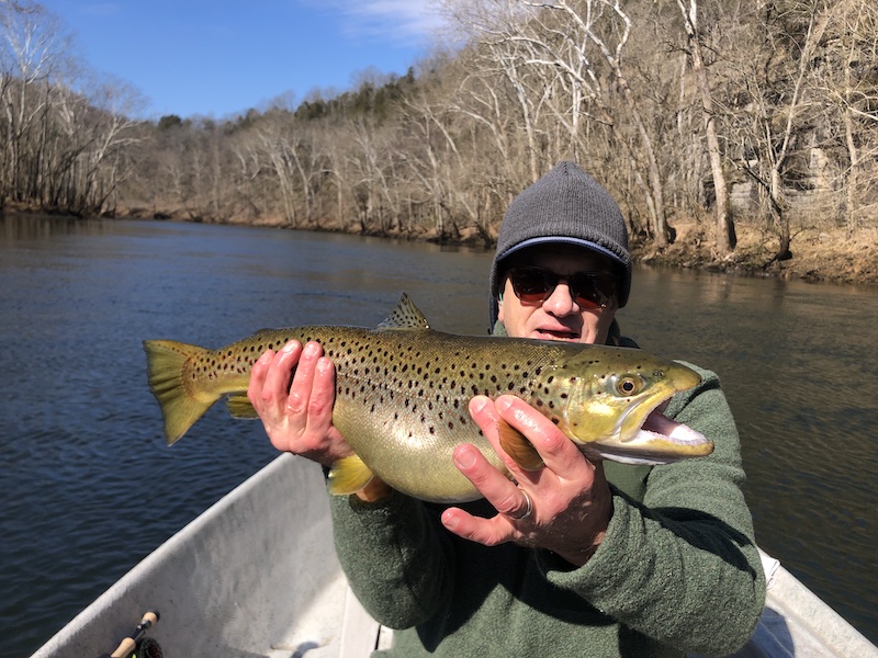 A large brown trout on the Caney Fork River for Eric in early 2026 with Trout Zone Anglers.  
